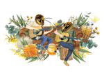Two bee characters seated playing guitar with native florals in the background, enjoying a Pail of Wild Nectar Pure Australian Honey