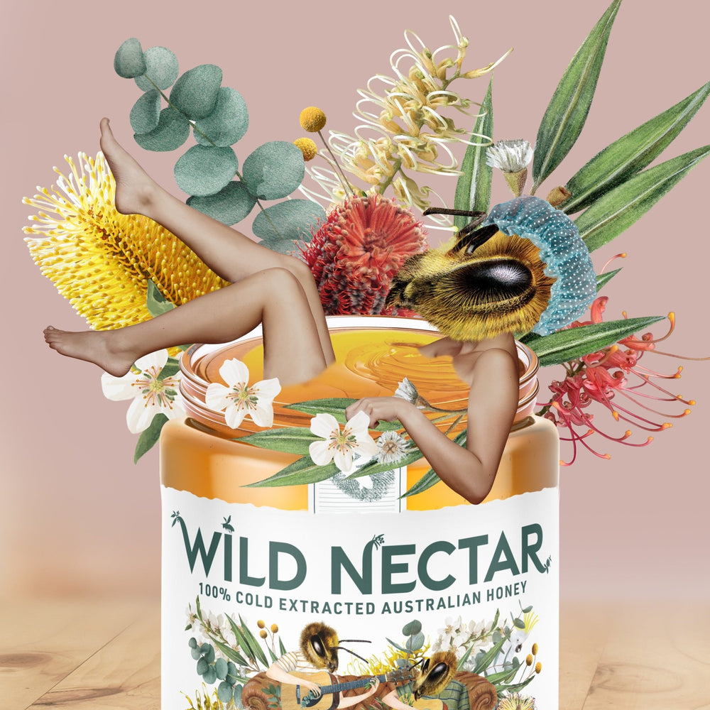 
                  
                    Ironbark Organic Australian Honey - 350g Jar - Wild Nectar Honey
                  
                